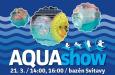 Aqua show 2016